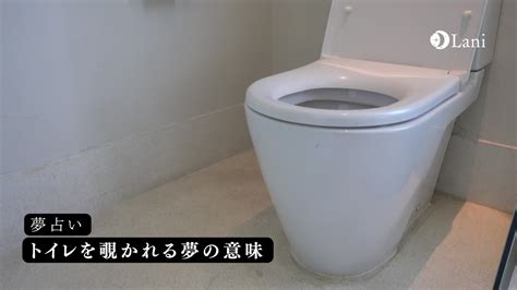 便をする夢|【夢占い完全版】トイレの夢の意味153選！汚れた・。